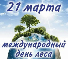 МЕЖДУНАРОДНЫЙ ДЕНЬ ЛЕСА МЕЖДУНАРОДНЫЙ ДЕНЬ ЛЕСА.