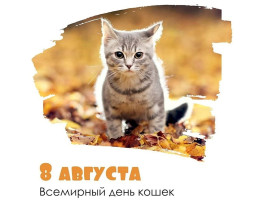 ДЕНЬ КОШЕК ДЕНЬ КОШЕК.