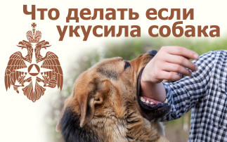 ПАМЯТКА ДЛЯ РОДИТЕЛЕЙ ПАМЯТКА ДЛЯ РОДИТЕЛЕЙ.
