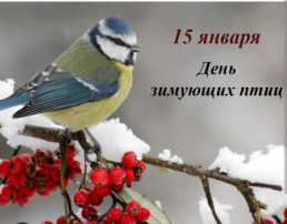 ПОКОРМИТЕ ПТИЦ ЗИМОЙ ПОКОРМИТЕ ПТИЦ ЗИМОЙ.