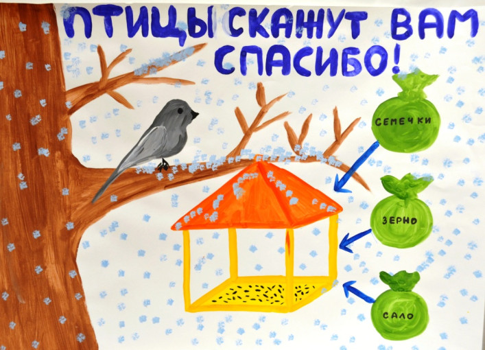 ПТИЦЫ - НАШИ ДРУЗЬЯ ПТИЦЫ - НАШИ ДРУЗЬЯ.